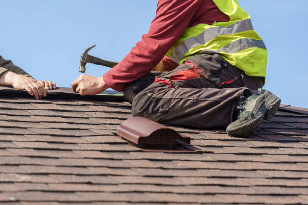 Best Roof Repair Specialists  in Schler Park, IL