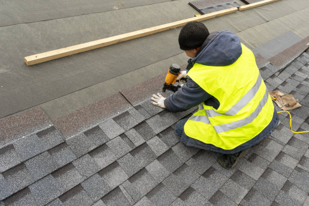 Best Metal Roofing Contractor  in Schler Park, IL