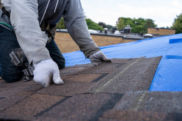 Best Flat Roof Repair Services  in Schler Park, IL